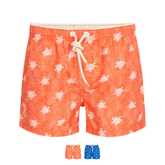 Ramatuelle Tortuga Swim shorts