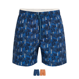 Ramatuelle Palmyra Swim shorts