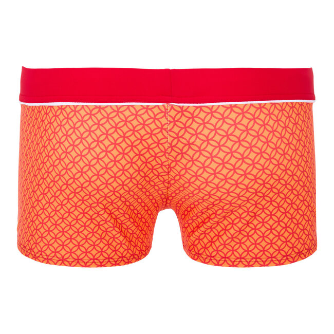 Ramatuelle Palmer Swim short