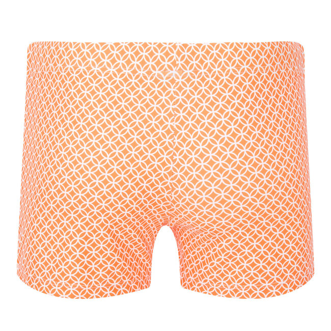 Ramatuelle Nauru zwemboxer