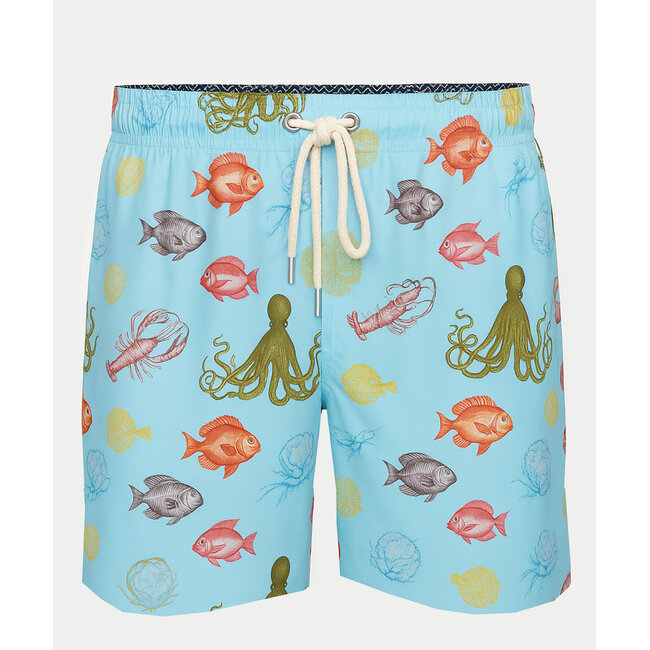 Ramatuelle Fisherman's Cove Swim sorts