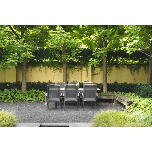 Lesli Living Tuinstoel Stapelbaar - Monza - Teak - Lesli Living Lesli Living Tuinstoel Stapelbaar - Monza - Teak - Lesli Living