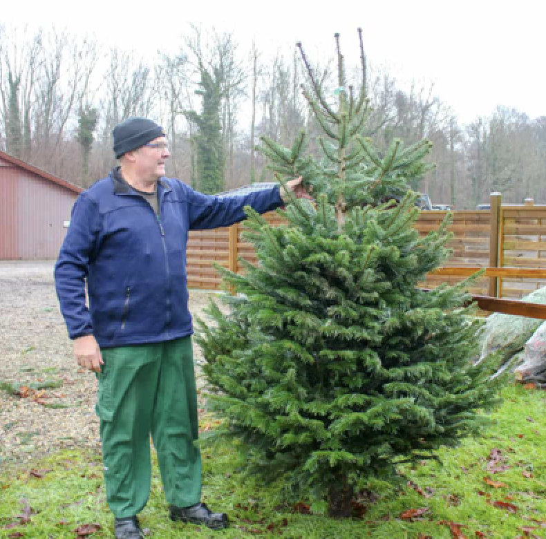 Blog Win een kerstboom voor 2025! Garden Interiors Tuinmeubelen