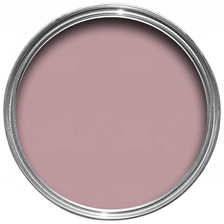 Farrow & Ball 100 ml Sample Pot Cinder Rose No. 246