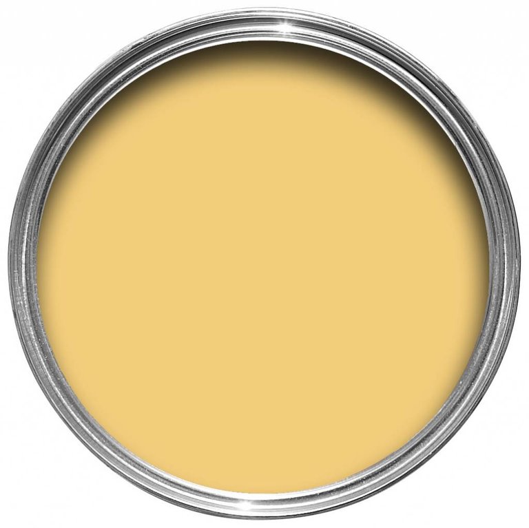 Farrow & Ball 100 ml Sample Pot Citron No. 74