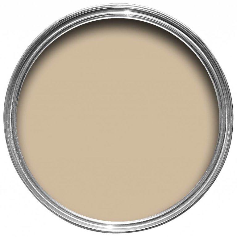 Farrow & Ball 100 ml Sample Pot Savage Ground No. 213