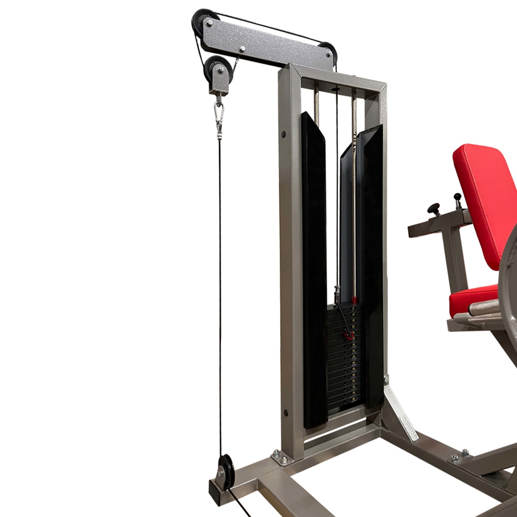 Leg Extension/ Curl Machine 8MXX2