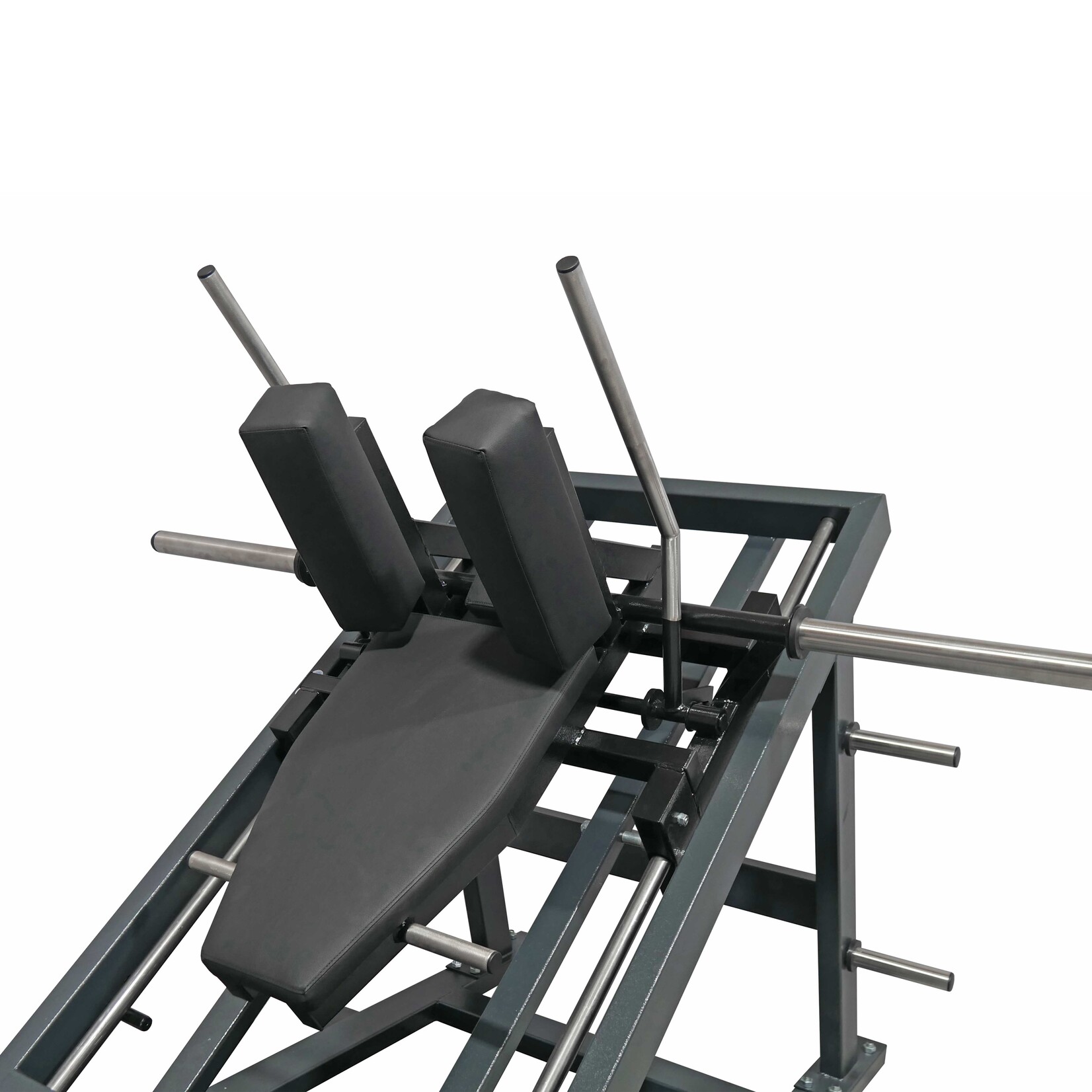 Hack Squat Machine 1D