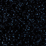Premium Rubber Sports Flooring | With Blue Flecks (1 m²)