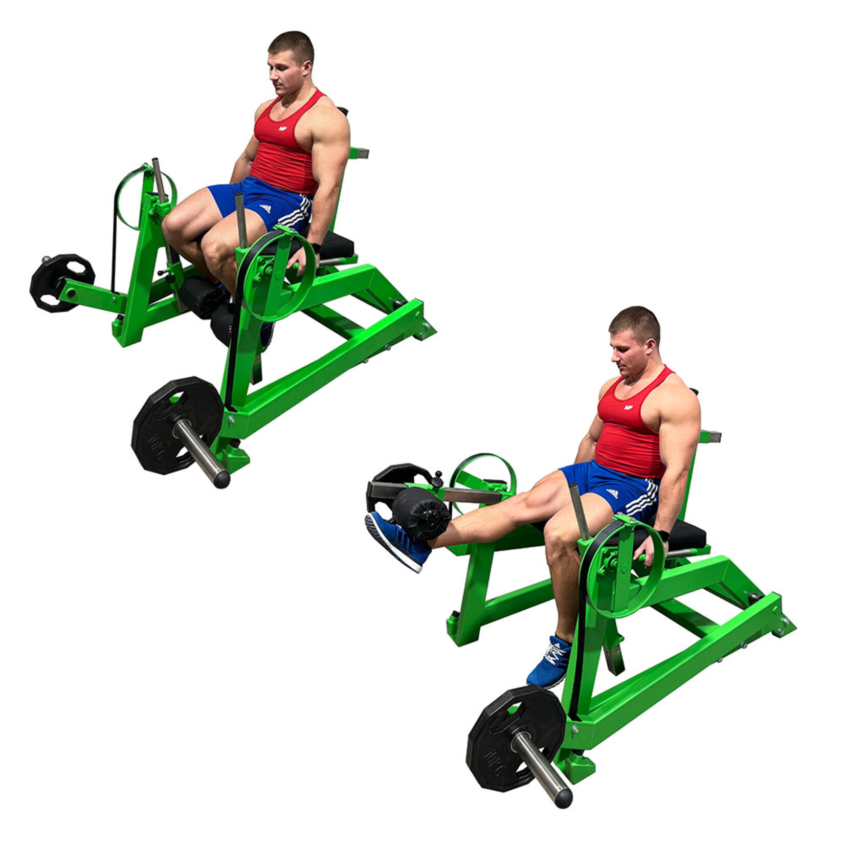 Leg Extension Machine 6D