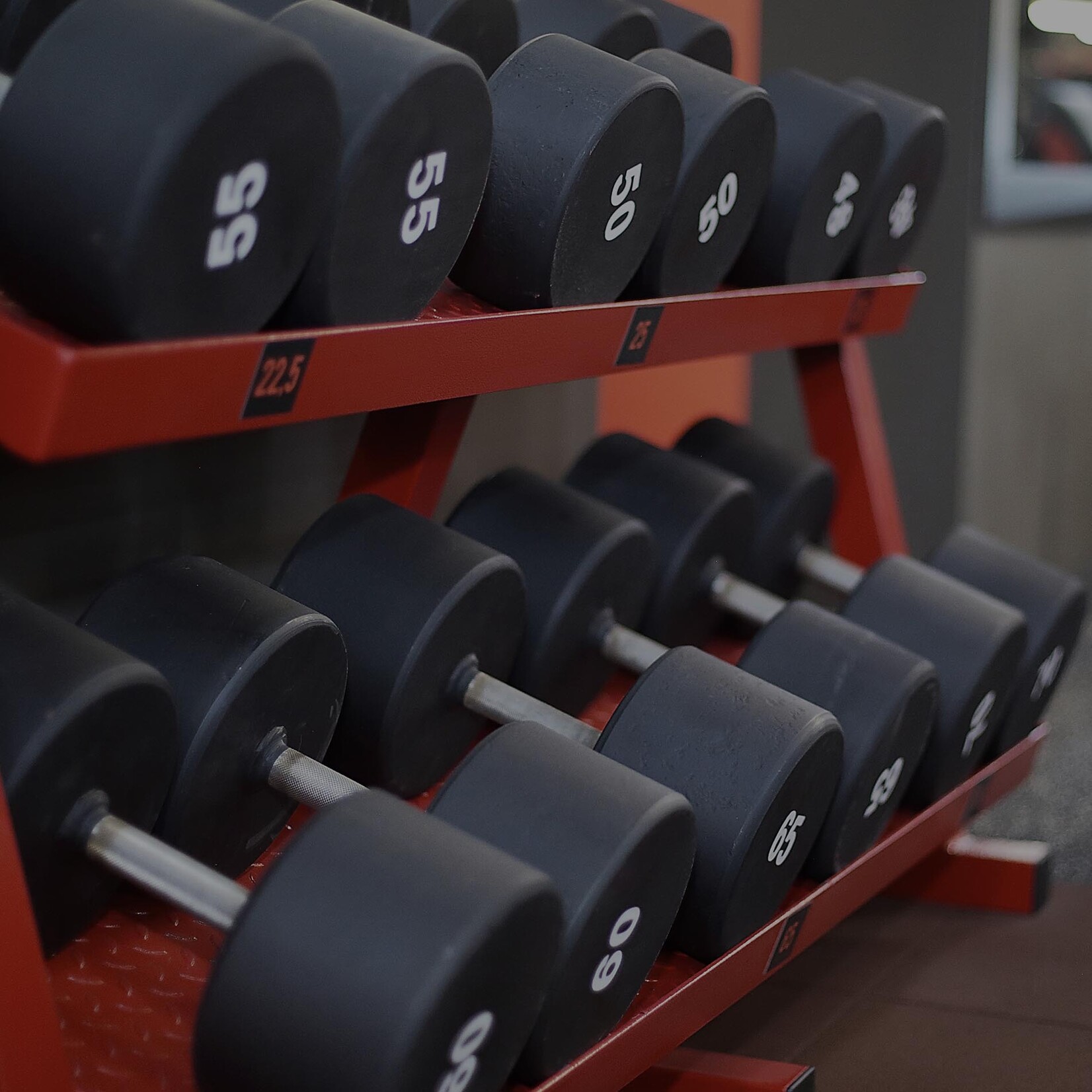 Metal Dumbbell SET (4 kg - 80 kg)