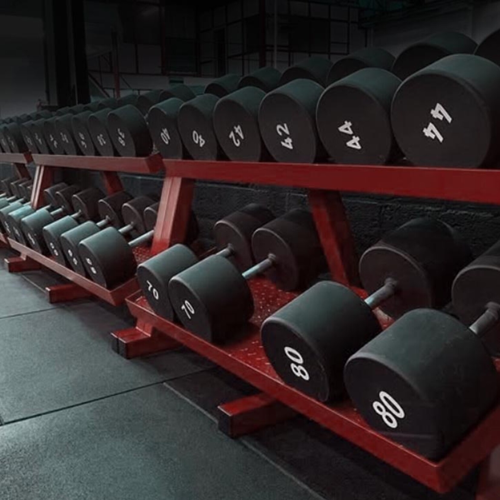 Set d'haltères complet 4 à 80 kg