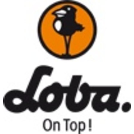 Loba Huile HS Akzent 100 transparente