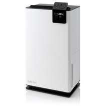 Albert Dehumidifier 70m2