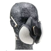 3M Paint Mask (Type 4251)