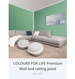 Auro 555 Premium Wall Paint