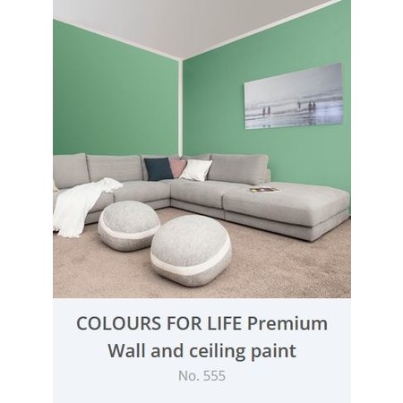 Auro 555 Premium Wall Paint