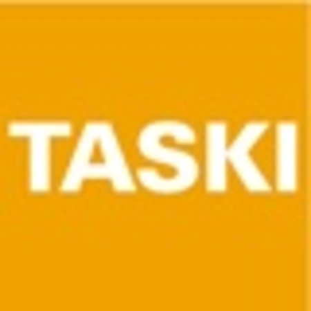 Tisa-Line Taski Sponge