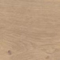 Aceite de Color Extra Blanco N°118 (haga clic aquí para ver su contenido)