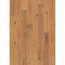 Oak Brushed Natural Oiled XL