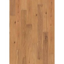 Roble natural cepillado Oiled XL