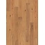 Tisa-Line Oak Brushed Natural Oiled XL