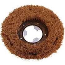 Raptor Coir Brush