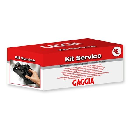 Gaggia Kit de mantenimiento para grupo de café (kit de servicio)