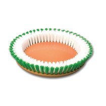 Scrubbing brush for Floorboy XL300