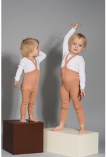 Silly Silas SILLY SILAS Light Brown Footless Tights with Braces