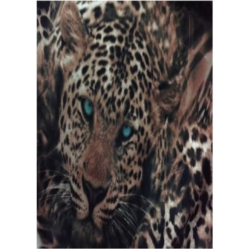 Coco Print Lace Leopard