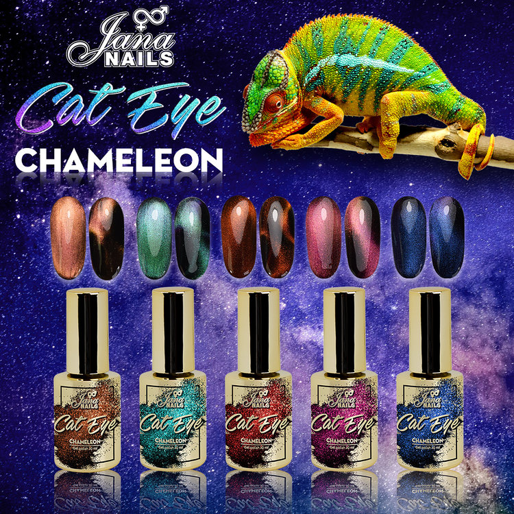usinf eye candy in flexi 12 usinf eye candy in flexi 12