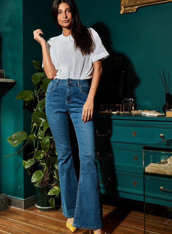 Toxik High Waste Flare jeans met stretch