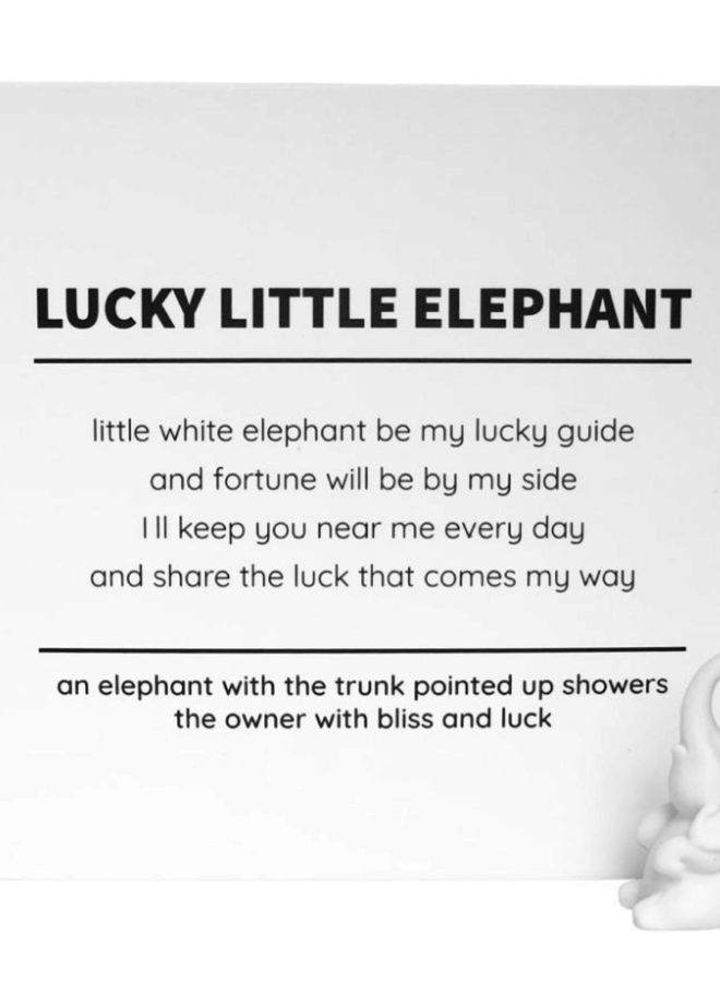 Lucky little elephant