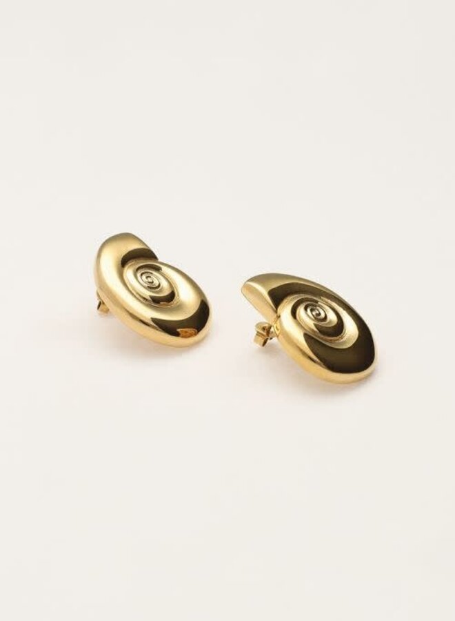 Ocean studs zeeschelp