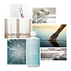 Le Essenze di Elda Wasparfum Acquamarina Le Essenze di Elda Wasparfum Acquamarina