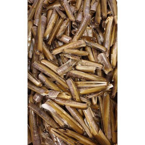 MESHEFTEN / SCHEERMESSEN