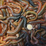 STEEKZAGERS KLEIN OF GROOT P/50 GRAM