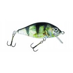 HESTER PRUSSIAN CARP FLOATING 0.5 M > 1.2 M 5 CM 6 GRAM