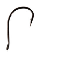 Vercelli Kantuki Umi Tanago #08 - P/25