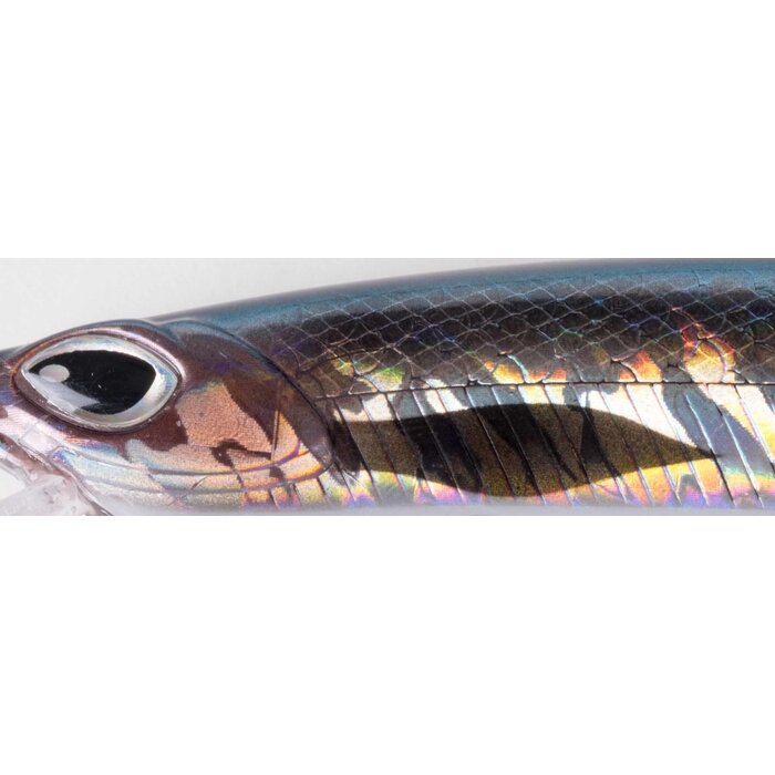 Cinnetic Crafty Minnow 150 Mm Floating 24 Gram Dolphin Fish