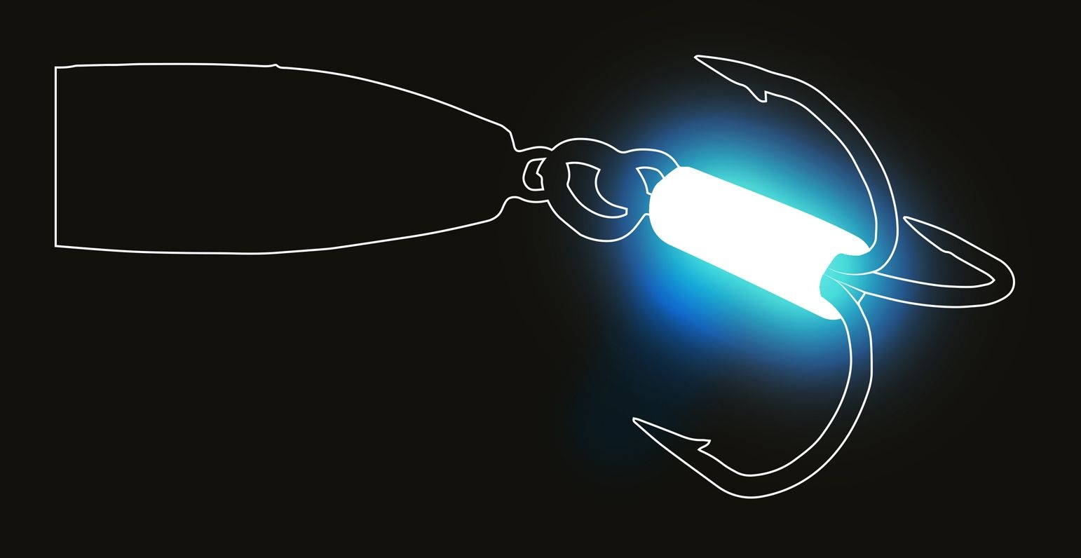 Spro Pilk'X 120 Gram BLACK TIGER