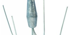 Zeelood