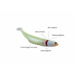 PAYS BASS JJ MINNOW 12 GRAM