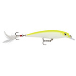 RAPALA X-RAP XR10