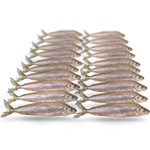 PREBAITS PREDATOR SPIERING