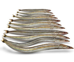 Prebaits Predator Zandspiering 200 Gram 13 > 18 Cm 13 Tot 17 Stuks