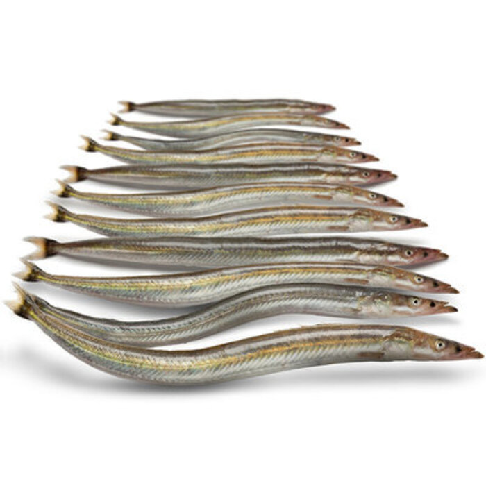 Prebaits Predator Zandspiering 200 Gram 13 > 18 Cm 13 Tot 17 Stuks