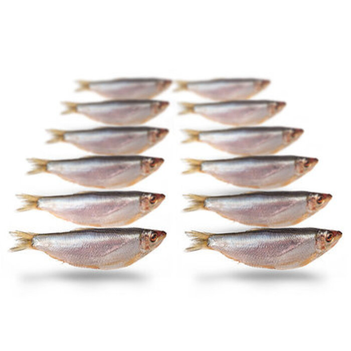 Prebaits Predator Sprot 200 > 250 Gram 8 > 13 Cm 10 Tot 18 Stuks