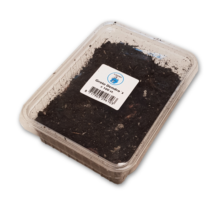 Lasebo Wormen Dendrobaena's